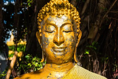 Buda heykelinin Yüzü, Tayland
