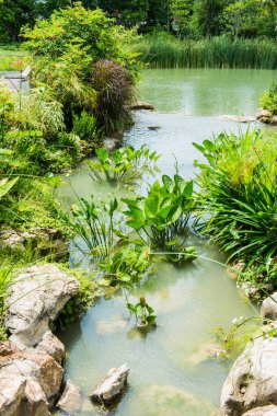 Kamu parkının manzarası, Tayland