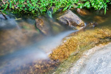 Tayland ulusal parkında akan güzel su