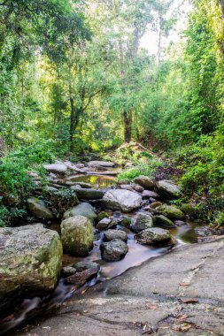 Tayland ulusal parkında akan güzel su