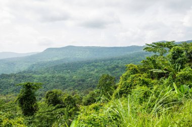 Pang Sida Ulusal Parkı, Tayland