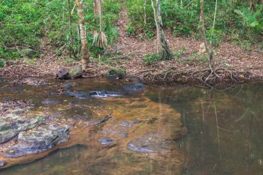 Tayland 'daki Pang Sida şelalesinde doğal manzara