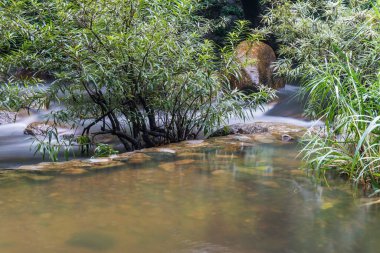 Tayland doğal parkında akan güzel su