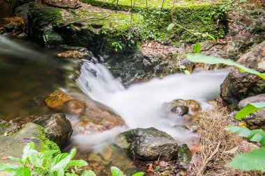 Tayland ulusal parkında akan güzel su