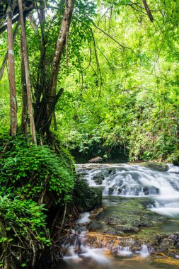 Sarika Şelalesi Ulusal Park, Tayland