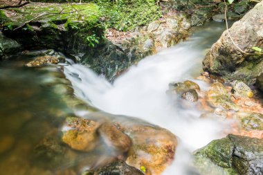 Tayland ulusal parkında akan güzel su