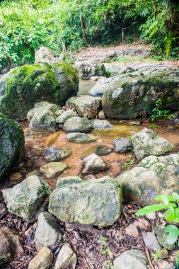 Tayland 'daki ulusal parkta kayalar ve su akışı