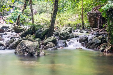 Tayland Ulusal Parkı manzarası
