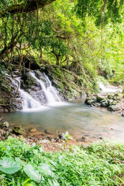 Ulusal Park, Tayland 'daki Şelale manzarası