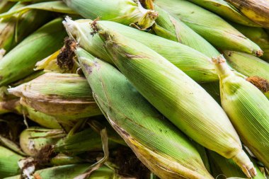 Taze tatlı mısır, Tayland