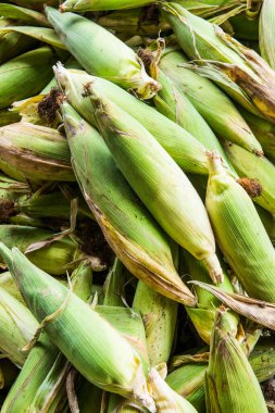 Taze tatlı mısır, Tayland