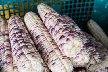 Naylon sepette taze mısır, Tayland