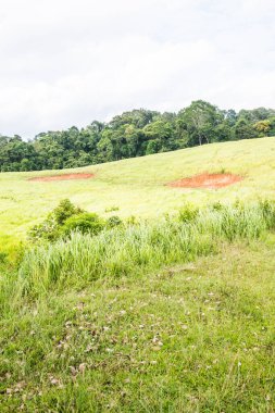 Tayland Ulusal Parkı manzarası