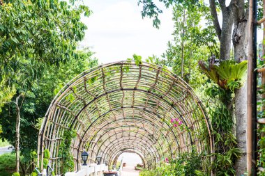 Bahçedeki bambu tüneli, Tayland