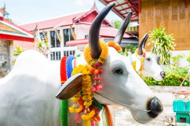 Tayland 'daki Tayland tapınağında inek heykeli.