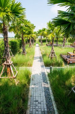 Bahçede yürü, Tayland 'da.