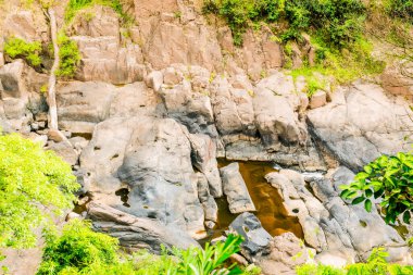 Khaoyai Ulusal Parkı, Tayland.