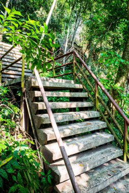 Tayland 'daki ulusal parkta beton merdiven..
