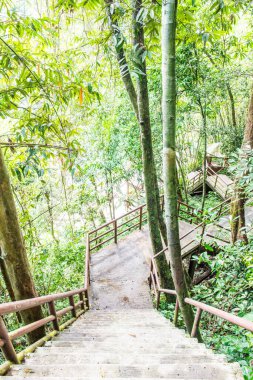 Tayland 'daki ulusal parkta beton merdiven..