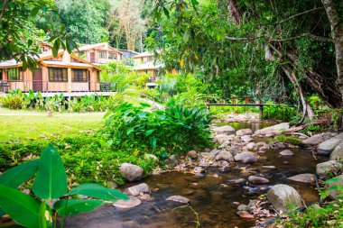 Tayland 'da orman ve yazlık evler.