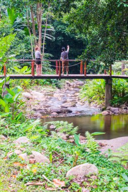 Tayland 'da tahta köprüsü olan küçük bir kanal..