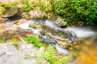 Mae Kampong Şelalesinde Su Akıntısı, Tayland.