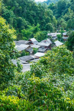 Tayland 'da ormandaki küçük bir köy..