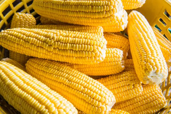 Taze tatlı mısır, Tayland