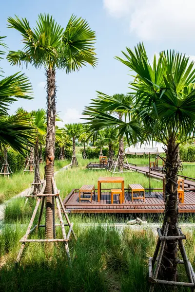 Tahta Masa Seti ve Tayland Park 'taki Ağaçlar.