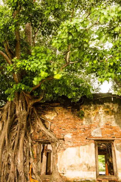 Kratai Tapınak, Tayland antik Tay kilisede seslendirdi.