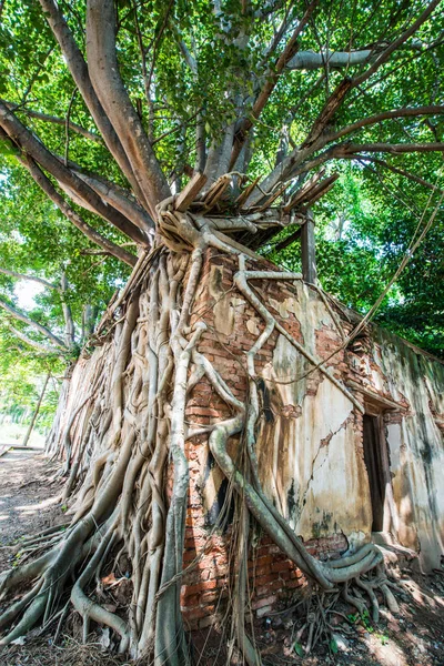 Kratai Tapınak, Tayland antik Tay kilisede seslendirdi.