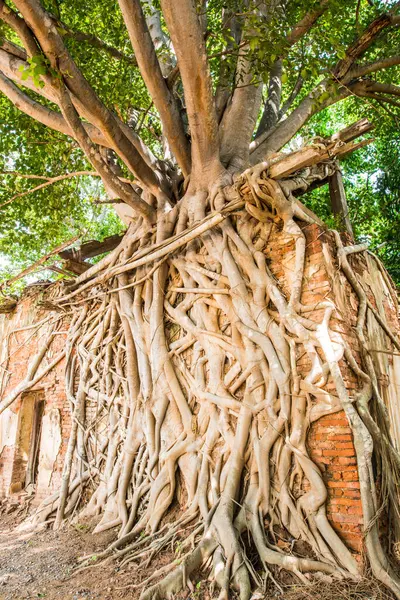 Kratai Tapınak, Tayland antik Tay kilisede seslendirdi.
