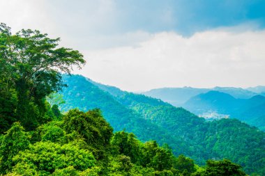 Tayland 'daki ulusal parkta bir dağ.