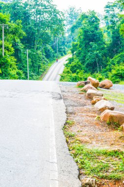 yol Milli Park, Tayland