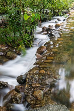 Tayland doğal parkında akan güzel su