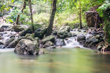 Tayland Ulusal Parkı manzarası