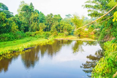 Tayland Ulusal Parkı manzarası