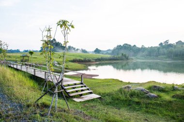Tayland 'daki Khao Yai Ulusal Parkı' nda gölün yanındaki tahta köprü.