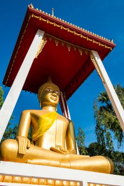 Tayland 'daki Tayland tapınağındaki güzel Buda heykeli