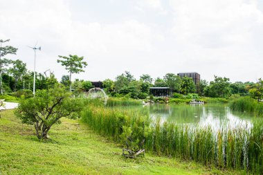 Kamu parkının manzarası, Tayland