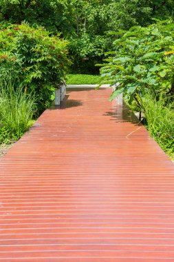 Kahverengi yol halka açık parkta, Tayland 'da