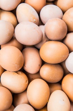 Taze yumurta grubu, Tayland