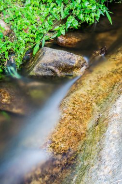 Tayland ulusal parkında akan güzel su