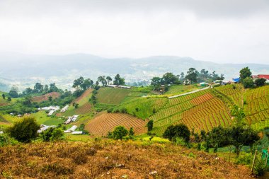 Tayland, Tayland ve Tayland 'da doğal manzara..