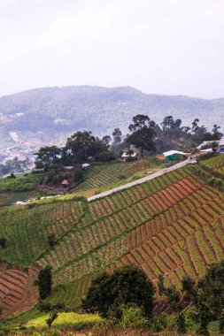 Tayland, Tayland ve Tayland 'da doğal manzara..