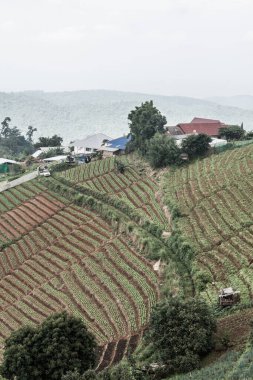 Tayland, Tayland ve Tayland 'da doğal manzara..