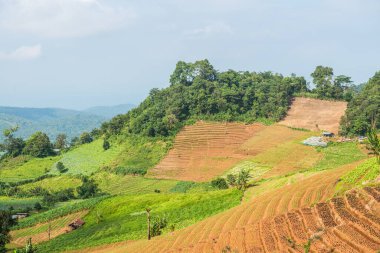 Tayland, Tayland ve Tayland 'da doğal manzara..
