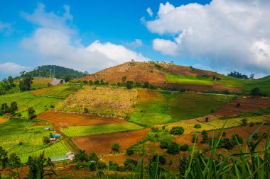 Tayland, Tayland 'da doğal manzara.