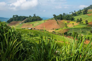 Tayland, Tayland 'da doğal manzara.
