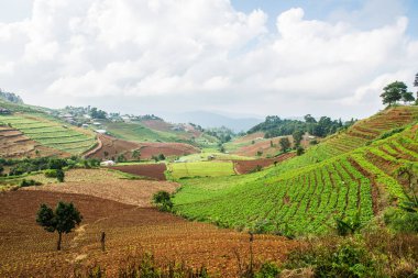 Tayland, Tayland 'da doğal manzara.